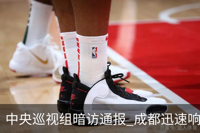 中央巡视组暗访通报 成都迅速响应立案拟顶格处罚