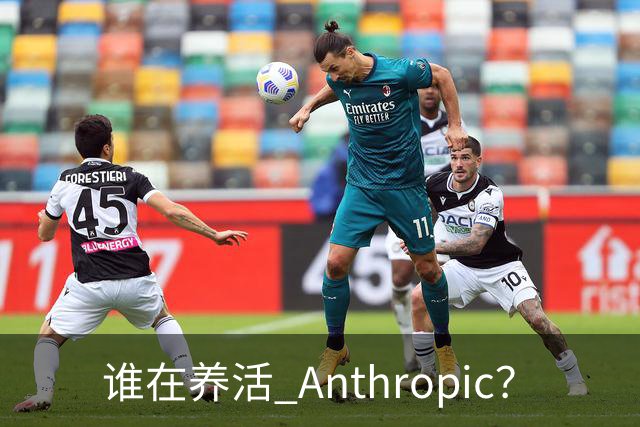 谁在养活 Anthropic？